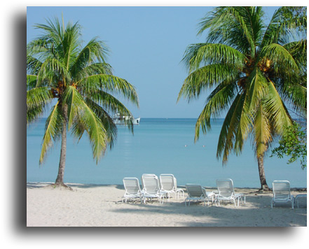 Couples Beach and Palm Trees